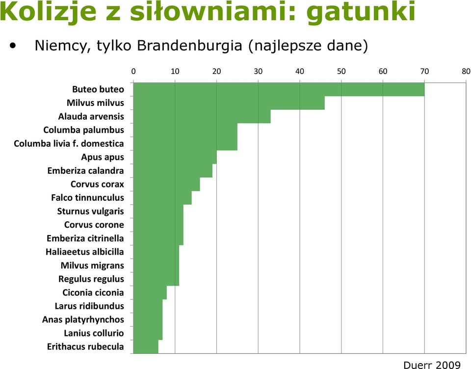 domestica Apus apus Emberiza calandra Corvus corax Falco tinnunculus Sturnus vulgaris Corvus corone Emberiza