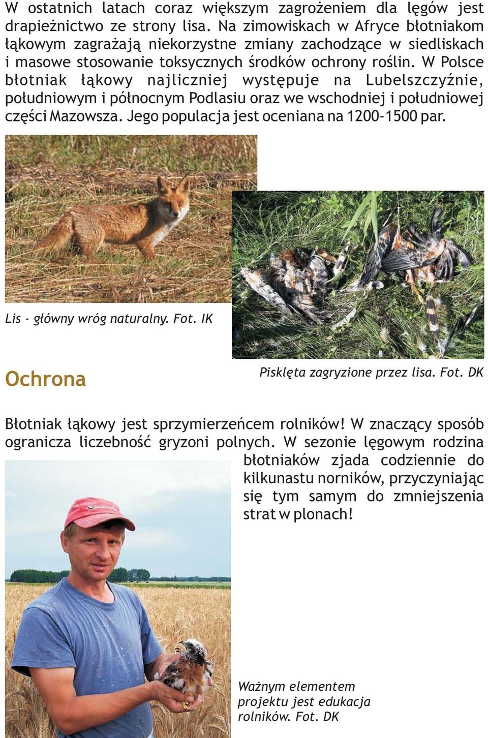 W Polsce błotniak łąkowy najliczniej występuje na Lubelszczyźnie, południowym i północnym Podlasiu oraz we wschodniej i południowej części Mazowsza. Jego populacja jest oceniana na 1200-1500 par.