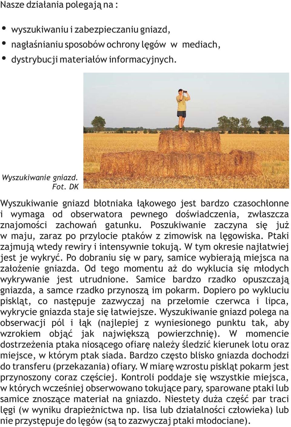 Poszukiwanie zaczyna się już w maju, zaraz po przylocie ptaków z zimowisk na lęgowiska. Ptaki zajmują wtedy rewiry i intensywnie tokują. W tym okresie najłatwiej jest je wykryć.