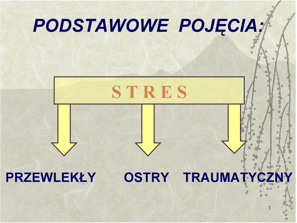 PRZEWLEKŁY