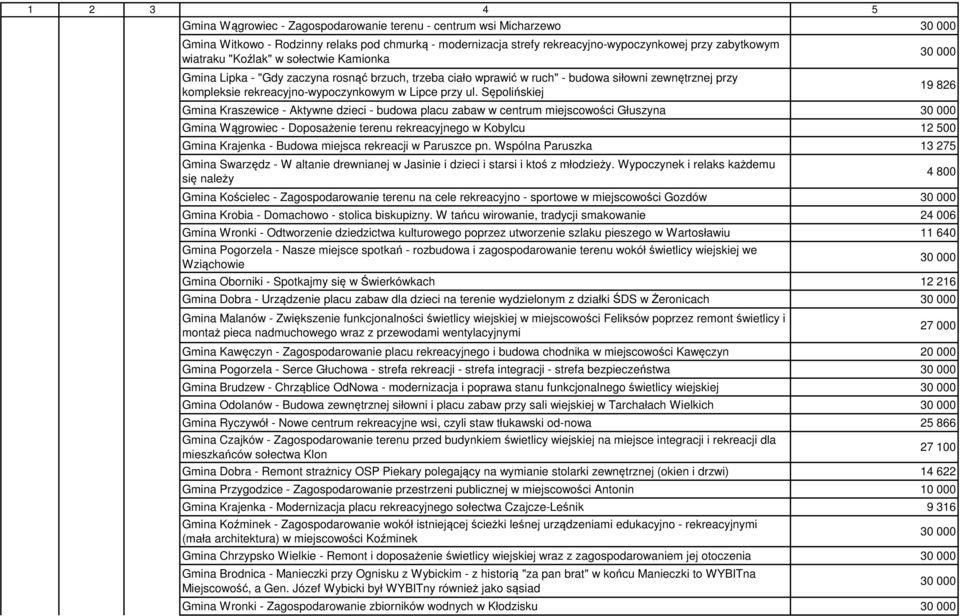 Sępolińskiej Gmina Kraszewice - Aktywne dzieci - budowa placu zabaw w centrum miejscowości Głuszyna 30 000 Gmina Wągrowiec - Doposażenie terenu rekreacyjnego w Kobylcu 12 500 Gmina Krajenka - Budowa