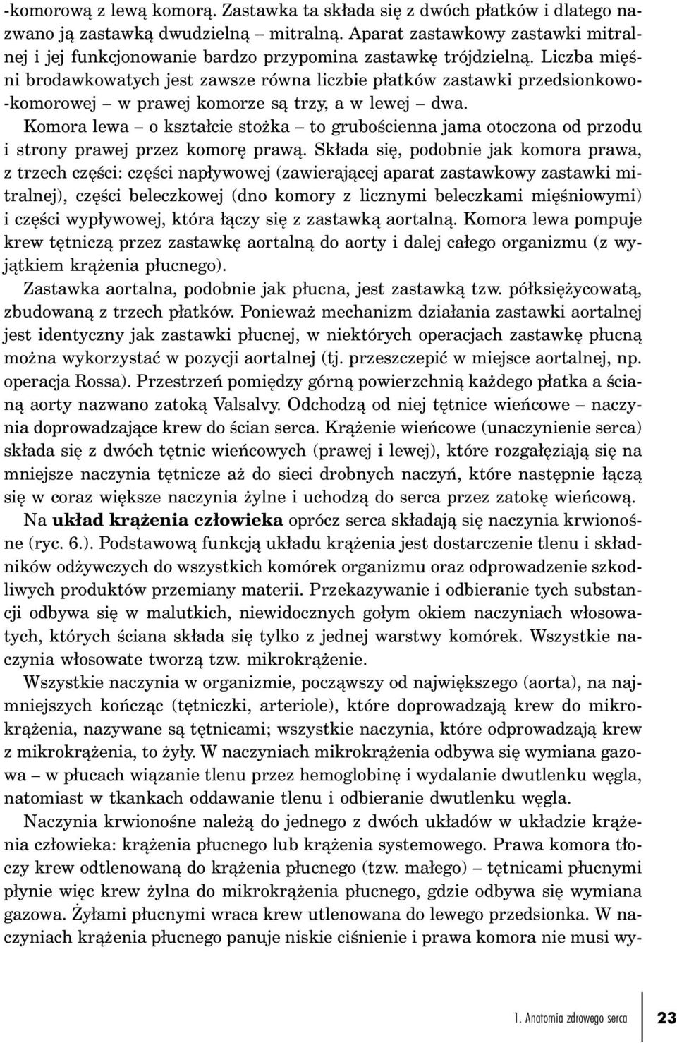 Liczba mięśni brodawkowatych jest zawsze równa liczbie płatków zastawki przedsionkowo- -komorowej w prawej komorze są trzy, a w lewej dwa.