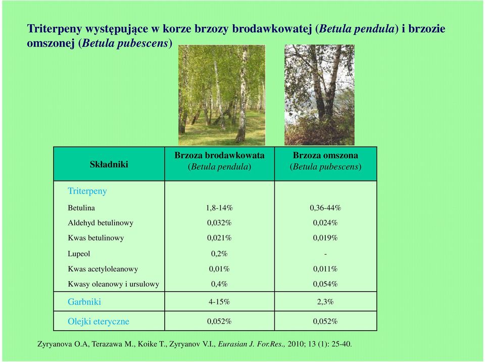 0,024% Kwas betulinowy 0,021% 0,019% Lupeol 0,2% - Kwas acetyloleanowy 0,01% 0,011% Kwasy oleanowy i ursulowy 0,4% 0,054%