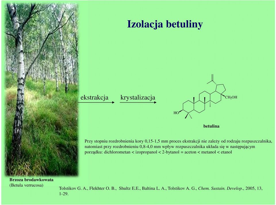 się w następującym porządku: dichlorometan < izopropanol < 2-bytanol = aceton < metanol < etanol Brzoza brodawkowata