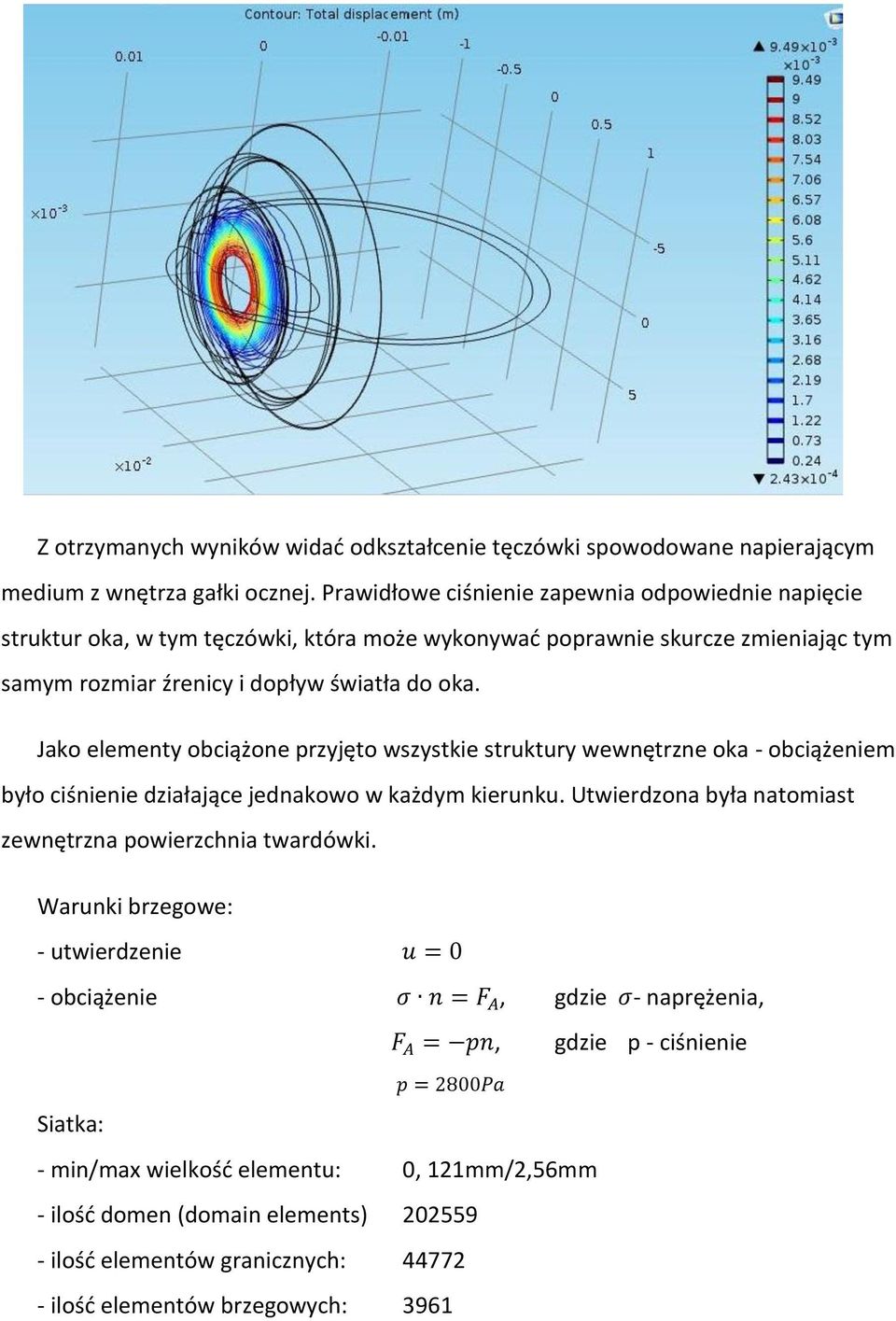 Jako elementy obciążone przyjęto wszystkie struktury wewnętrzne oka - obciążeniem było ciśnienie działające jednakowo w każdym kierunku.