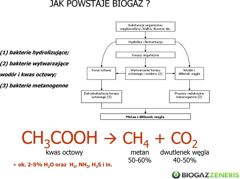 wodór i kwas octowy; (3) bakterie metanogenne CH 3 COOH CH