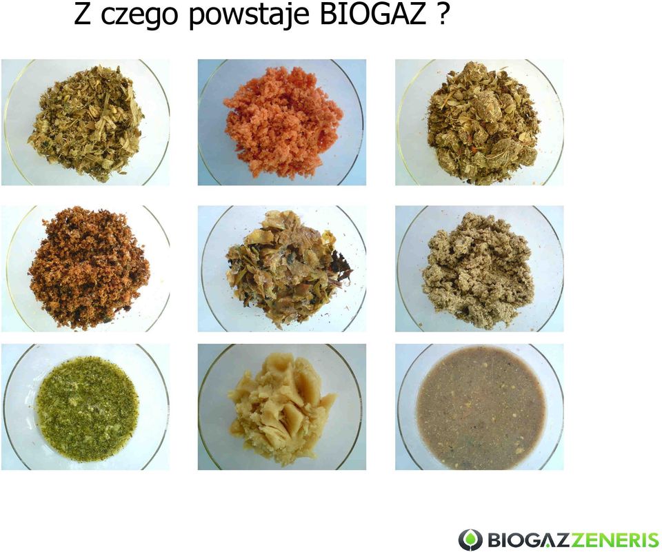 BIOGAZ?