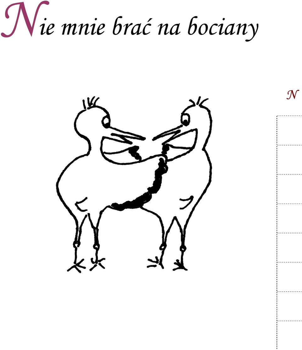 bociany N