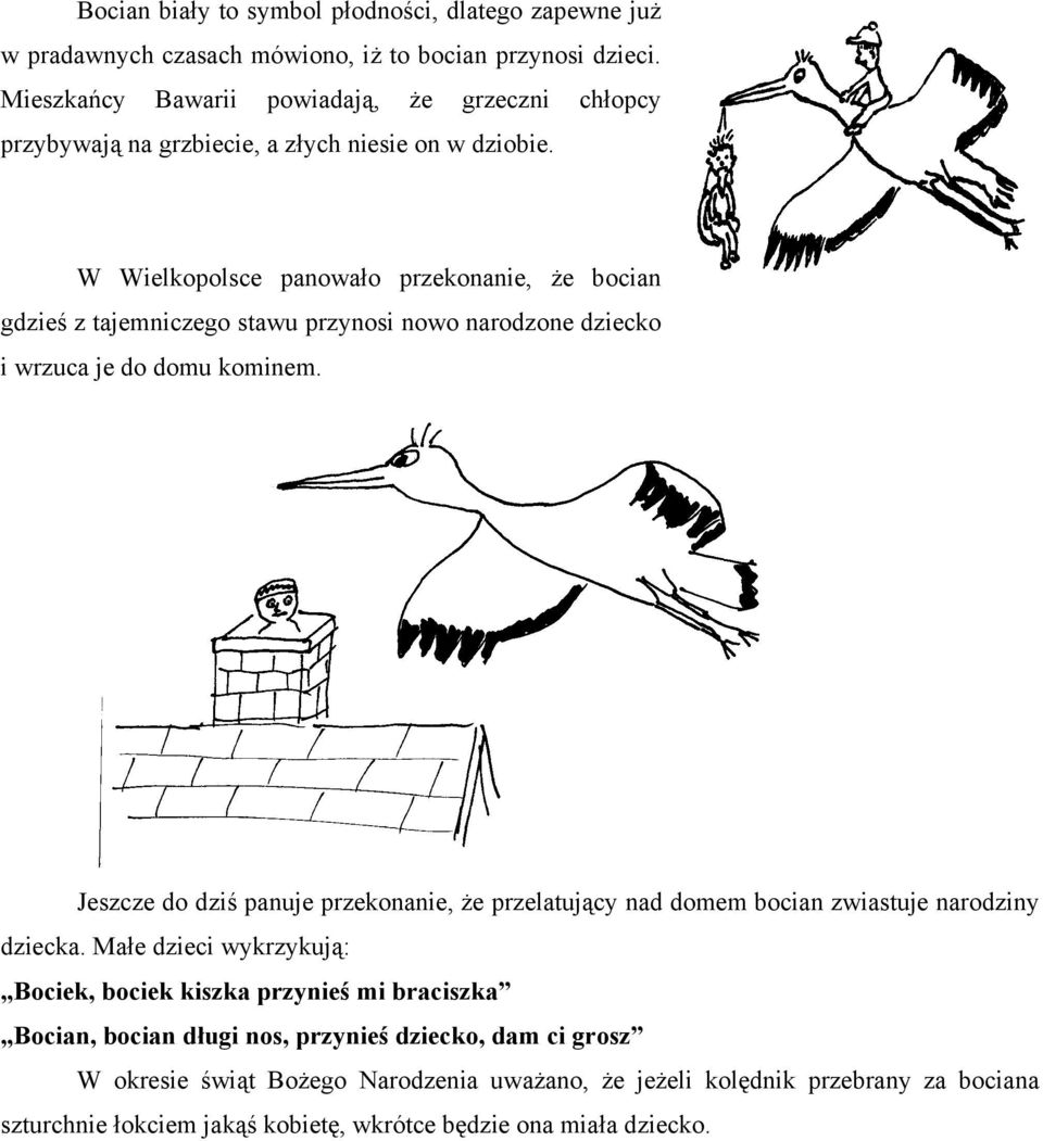 W Wielkopolsce panowało przekonanie, że bocian gdzieś z tajemniczego stawu przynosi nowo narodzone dziecko i wrzuca je do domu kominem.