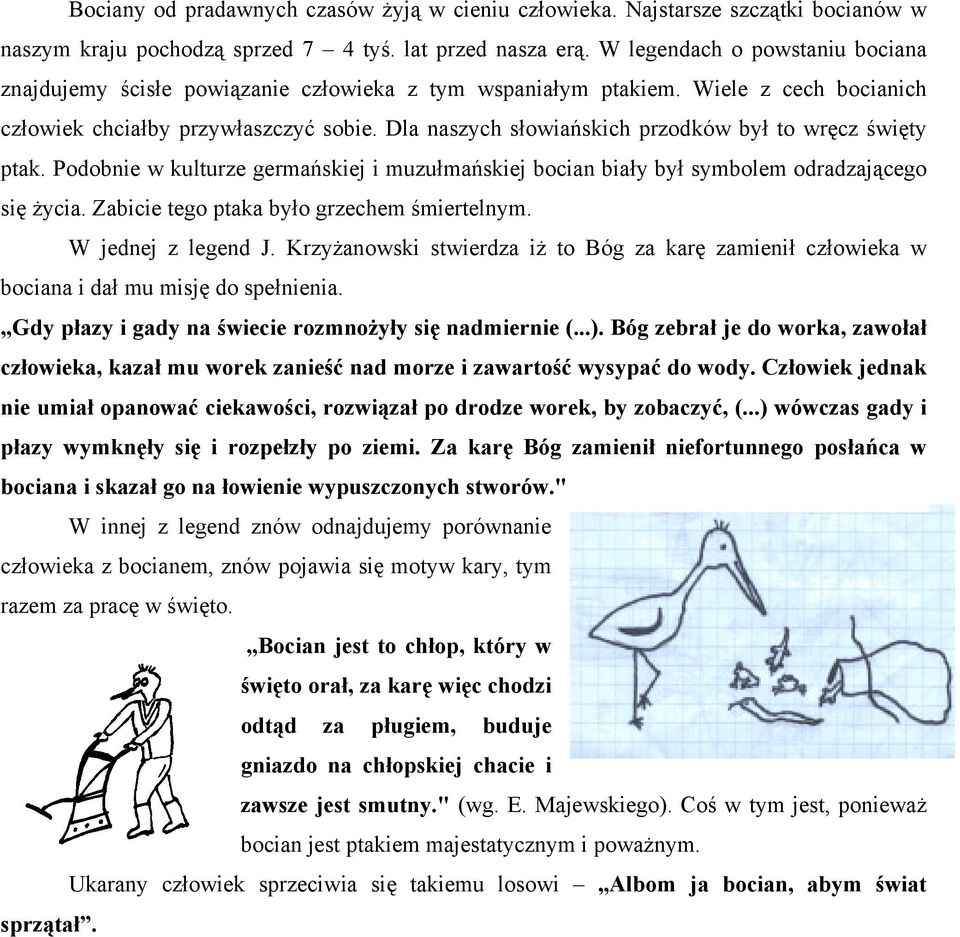 Dla naszych słowiańskich przodków był to wręcz święty ptak. Podobnie w kulturze germańskiej i muzułmańskiej bocian biały był symbolem odradzającego się życia.