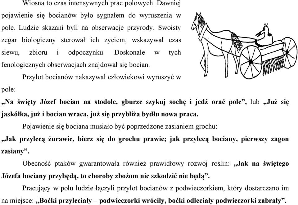 Przylot bocianów nakazywał człowiekowi wyruszyć w pole: Na święty Józef bocian na stodole, gburze szykuj sochę i jedź orać pole, lub Już się jaskółka, już i bocian wraca, już się przybliża bydłu nowa