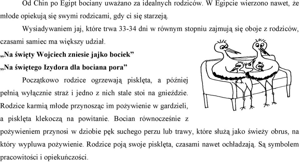 Na święty Wojciech zniesie jajko bociek Na świętego Izydora dla bociana pora Początkowo rodzice ogrzewają pisklęta, a później pełnią wyłącznie straż i jedno z nich stale stoi na gnieździe.