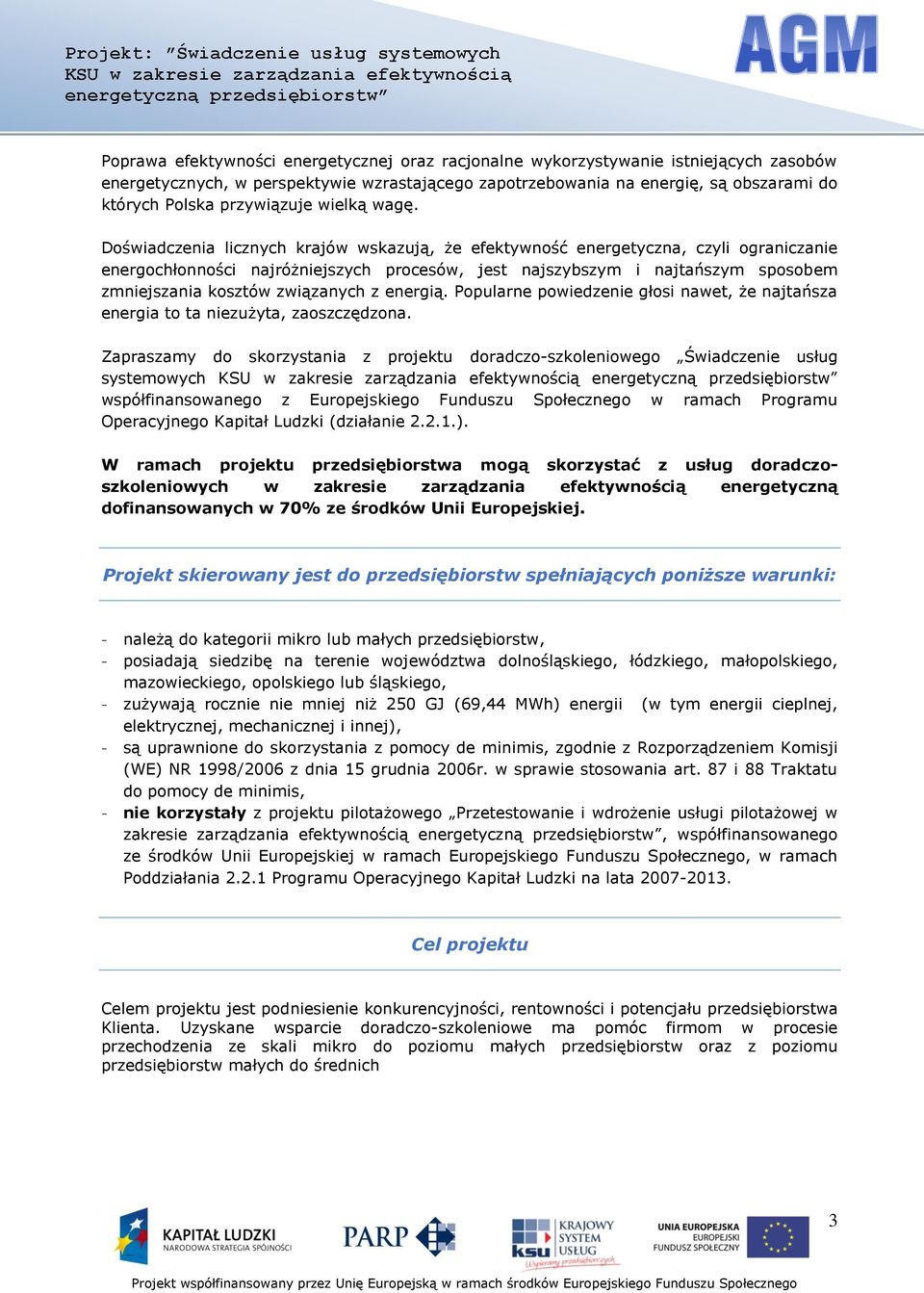 Doświadczenia licznych krajów wskazują, że efektywność energetyczna, czyli ograniczanie energochłonności najróżniejszych procesów, jest najszybszym i najtańszym sposobem zmniejszania kosztów