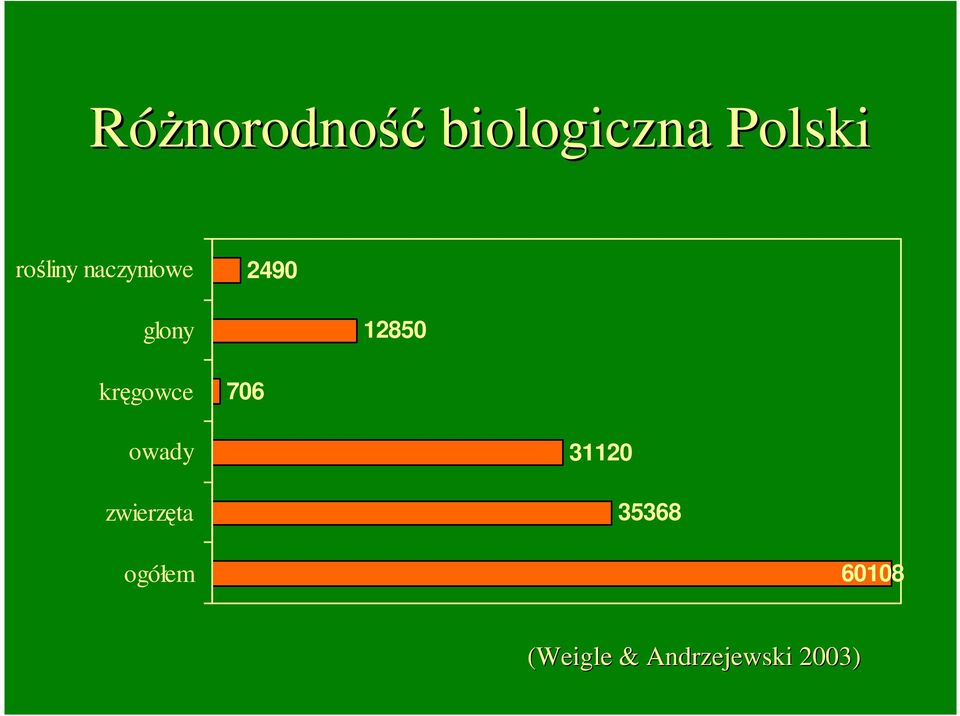 kręgowce 706 owady zwierzęta 31120