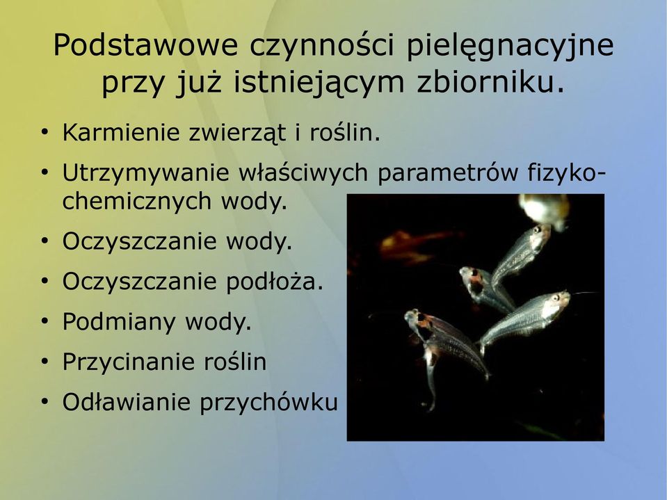 Utrzymywanie właściwych parametrów fizykochemicznych wody.