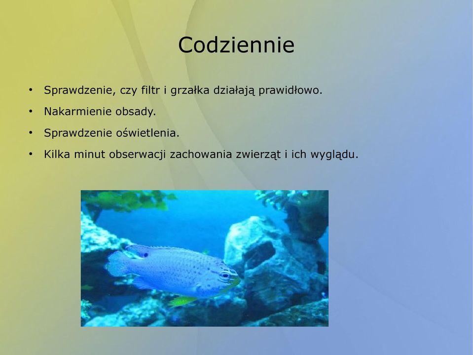 Nakarmienie obsady.