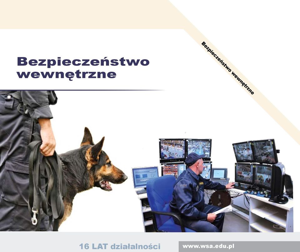 Bezpieczeństwo Bezpieczeństwo wewnętrzne