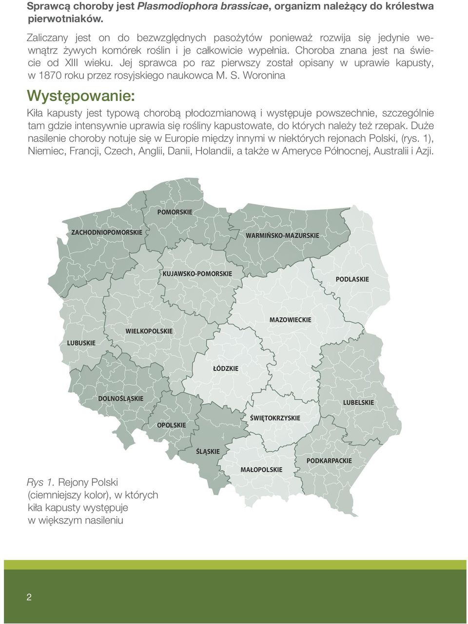 Jej sprawca po raz pierwszy został opisany w uprawie kapusty, w 1870 roku przez rosyjskiego naukowca M. S.