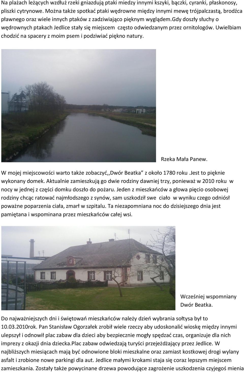 gdy doszły słuchy o wędrownych ptakach Jedlice stały się miejscem często odwiedzanym przez ornitologów. Uwielbiam chodzid na spacery z moim psem i podziwiad piękno natury. Rzeka Mała Panew.