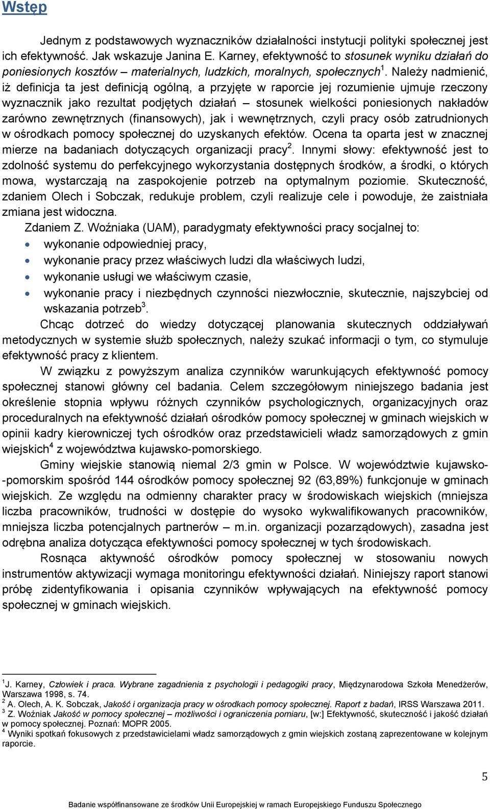 Należy nadmienić, iż definicja ta jest definicją ogólną, a przyjęte w raporcie jej rozumienie ujmuje rzeczony wyznacznik jako rezultat podjętych działań stosunek wielkości poniesionych nakładów