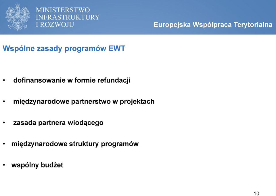 międzynarodowe partnerstwo w projektach zasada