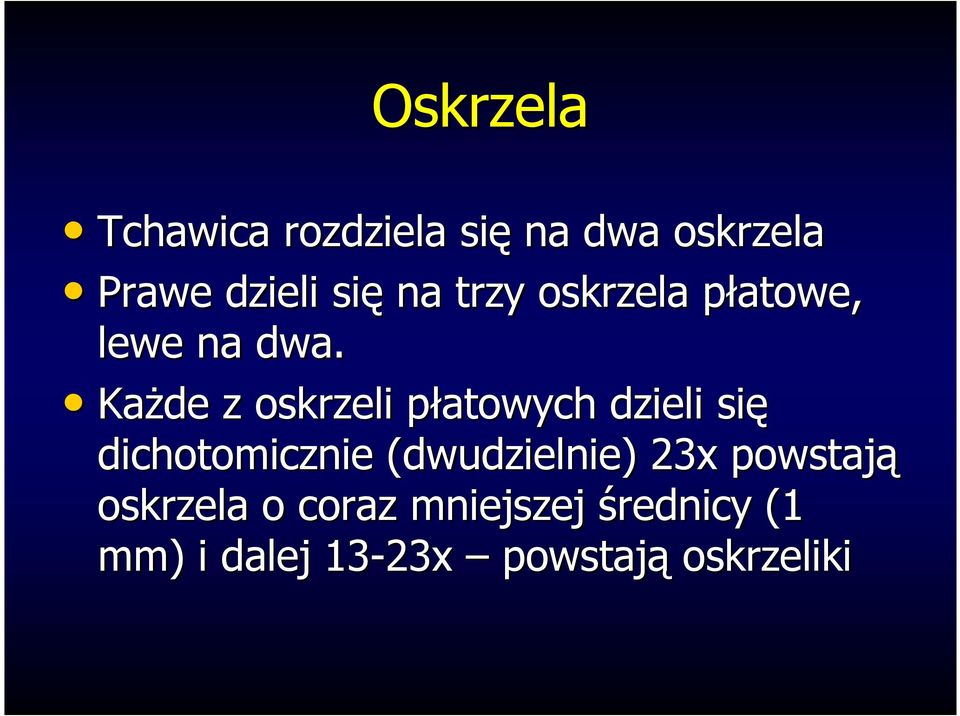 KaŜde z oskrzeli płatowych dzieli się dichotomicznie