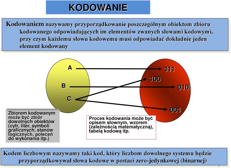 liter, symboli graficznych, stanów logicznych, poleceń do wykonania itp.