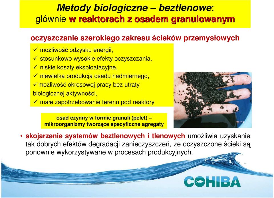 aktywności, małe zapotrzebowanie terenu pod reaktory osad czynny w formie granuli (pelet) mikroorganizmy tworzące specyficzne agregaty skojarzenie systemów