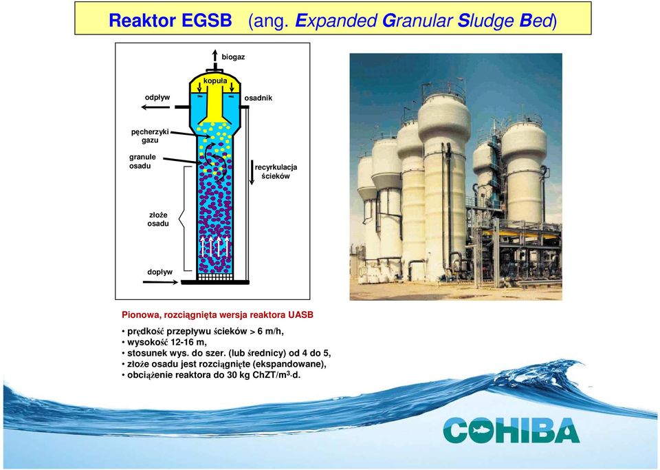 recyrku l acja ścieków złoże osadu dopływ Pionowa, rozciągnięta wersja reaktora UASB prędkość