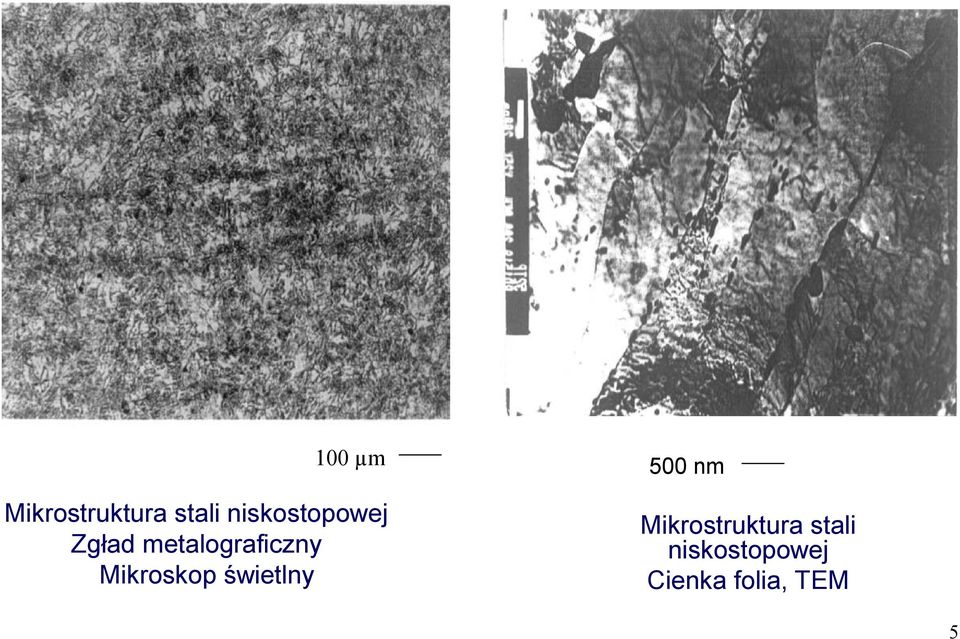 Mikroskop świetlny Mikrostruktura