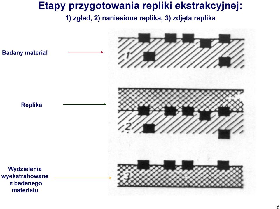 replika, 3) zdjęta replika Badany