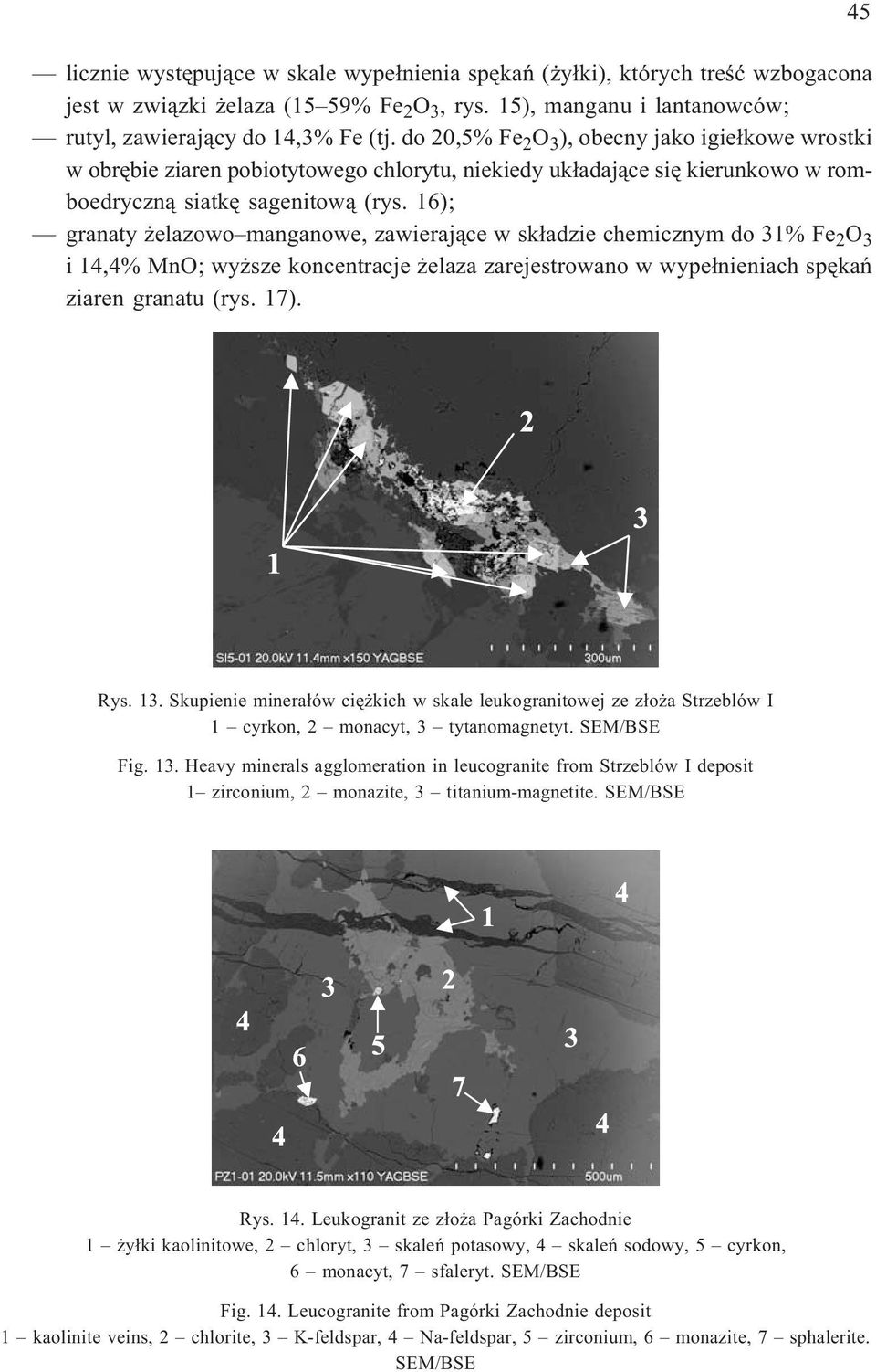 16); granaty elazowo manganowe, zawieraj¹ce w sk³adzie chemicznym do 31% Fe 2 O 3 i 14,4% MnO; wy sze koncentracje elaza zarejestrowano w wype³nieniach spêkañ ziaren granatu (rys. 17). 45 Rys. 13.