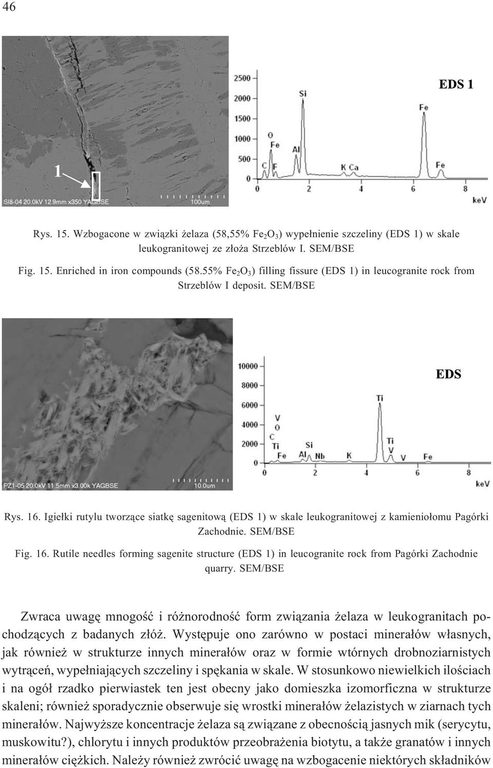 Igie³ki rutylu tworz¹ce siatkê sagenitow¹ (EDS 1) w skale leukogranitowej z kamienio³omu Pagórki Zachodnie. SEM/BSE Fig. 16.