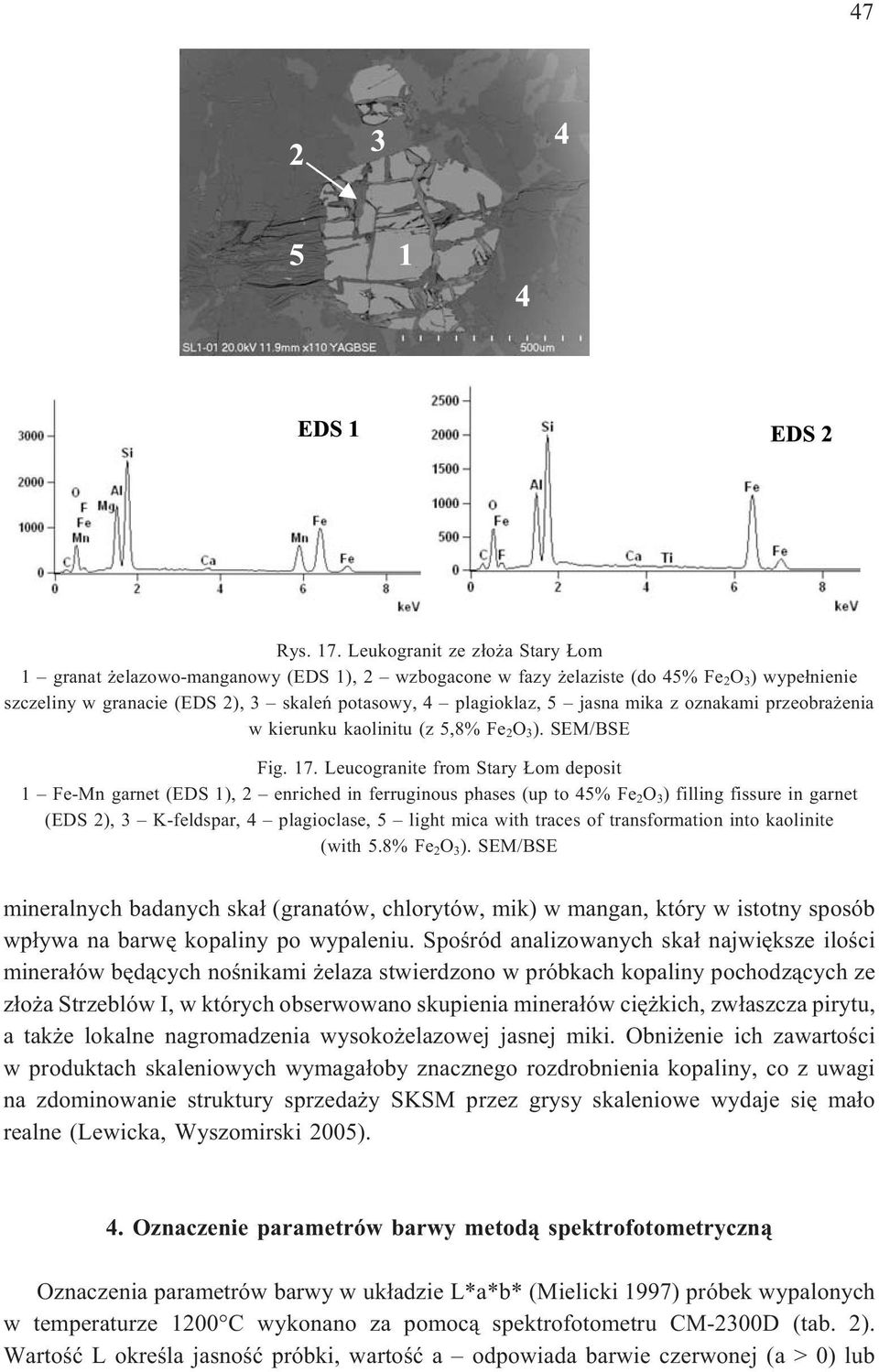 mika z oznakami przeobra enia w kierunku kaolinitu (z 5,8% Fe 2 O 3 ). SEM/BSE Fig. 17.