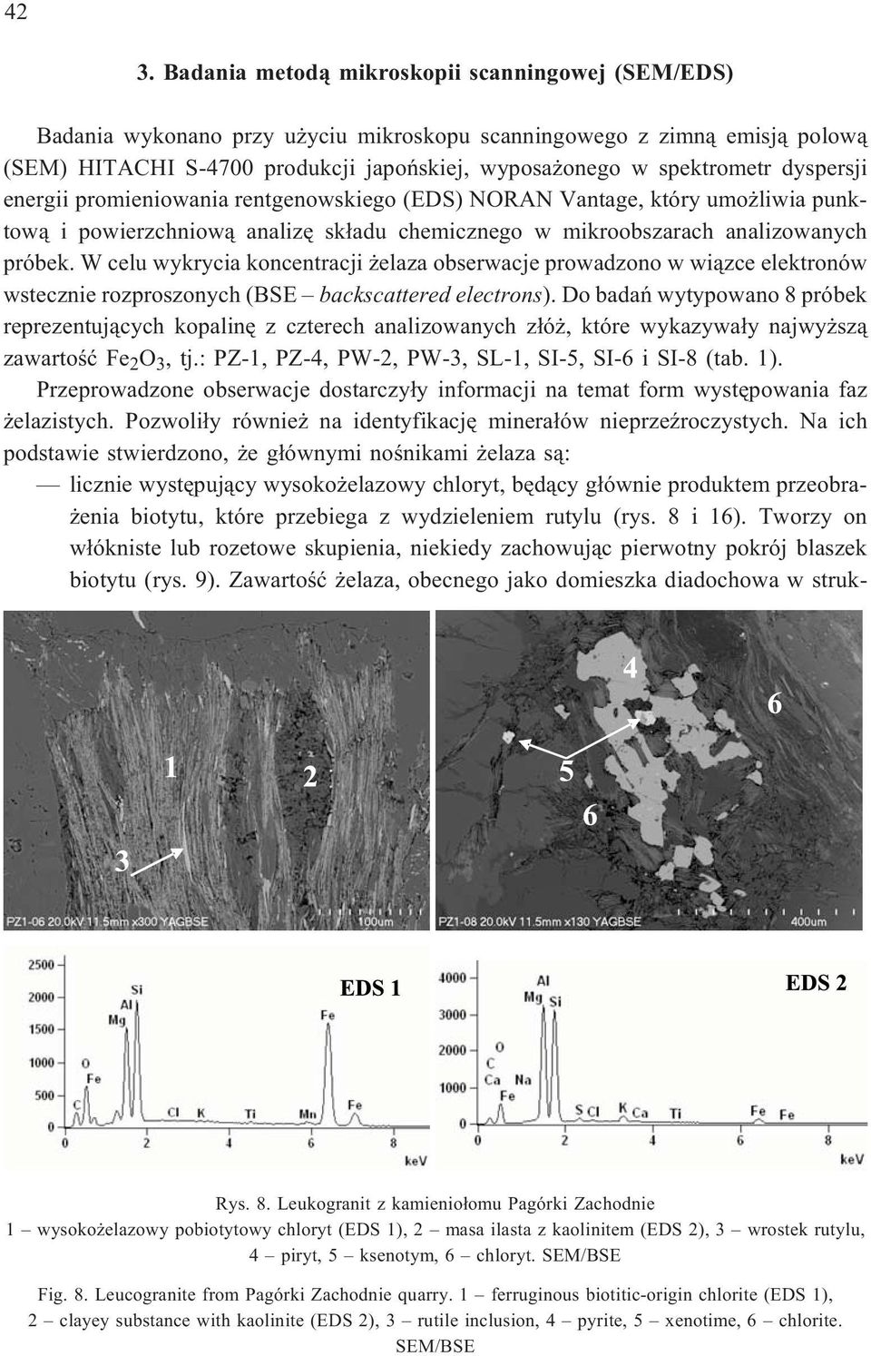 W celu wykrycia koncentracji elaza obserwacje prowadzono w wi¹zce elektronów wstecznie rozproszonych (BSE backscattered electrons).
