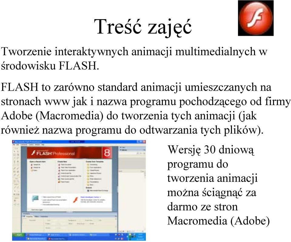 pochodzącego od firmy Adobe (Macromedia) do tworzenia tych animacji (jak również nazwa programu