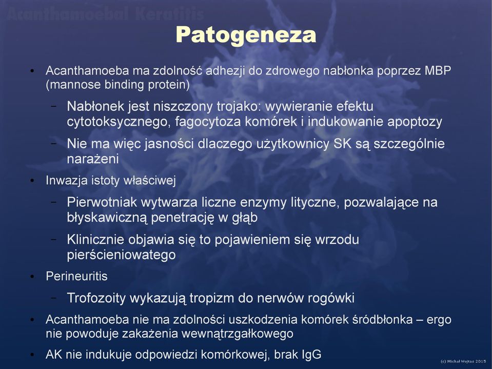 wytwarza liczne enzymy lityczne, pozwalające na błyskawiczną penetrację w głąb Klinicznie objawia się to pojawieniem się wrzodu pierścieniowatego Perineuritis Trofozoity