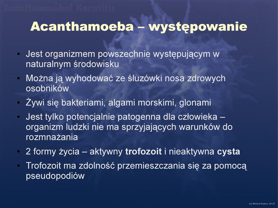 potencjalnie patogenna dla człowieka organizm ludzki nie ma sprzyjających warunków do rozmnażania 2