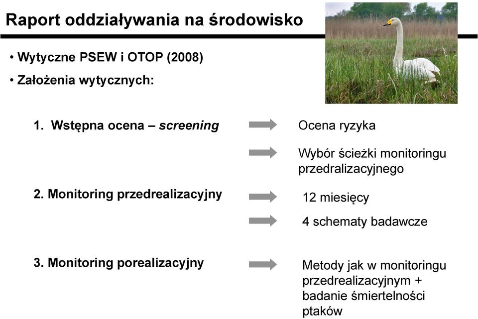 2. Monitoring przedrealizacyjny 12 miesięcy 4 schematy badawcze 3.