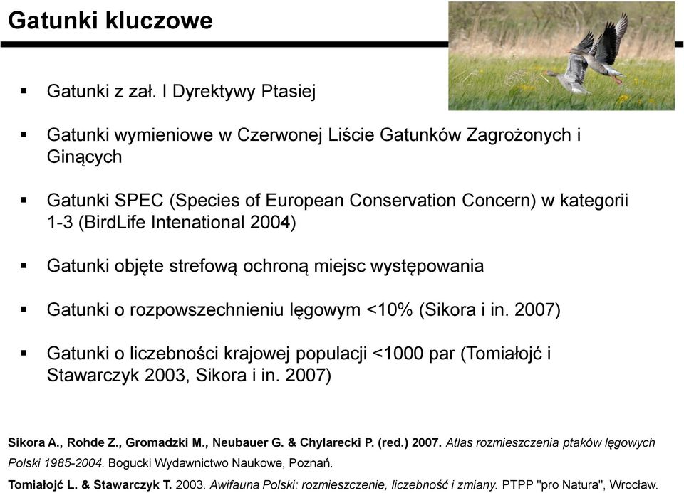 Intenational 2004) Gatunki objęte strefową ochroną miejsc występowania Gatunki o rozpowszechnieniu lęgowym <10% (Sikora i in.