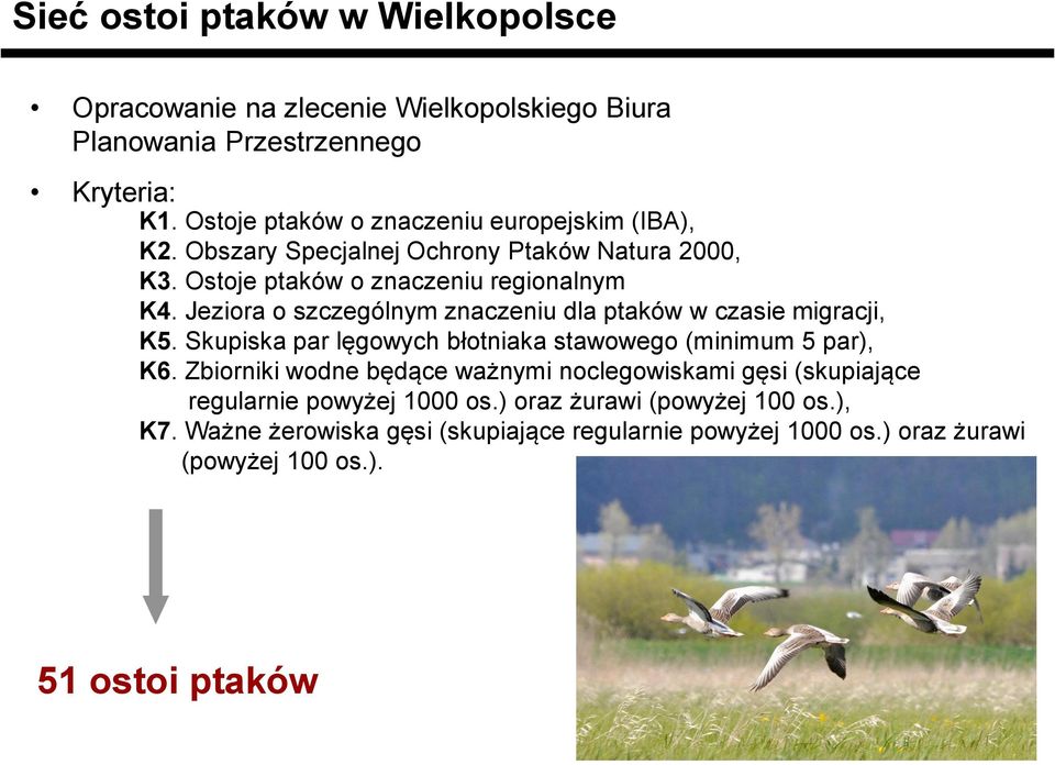 Jeziora o szczególnym znaczeniu dla ptaków w czasie migracji, K5. Skupiska par lęgowych błotniaka stawowego (minimum 5 par), K6.