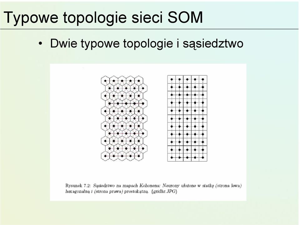 SOM Dwie typowe