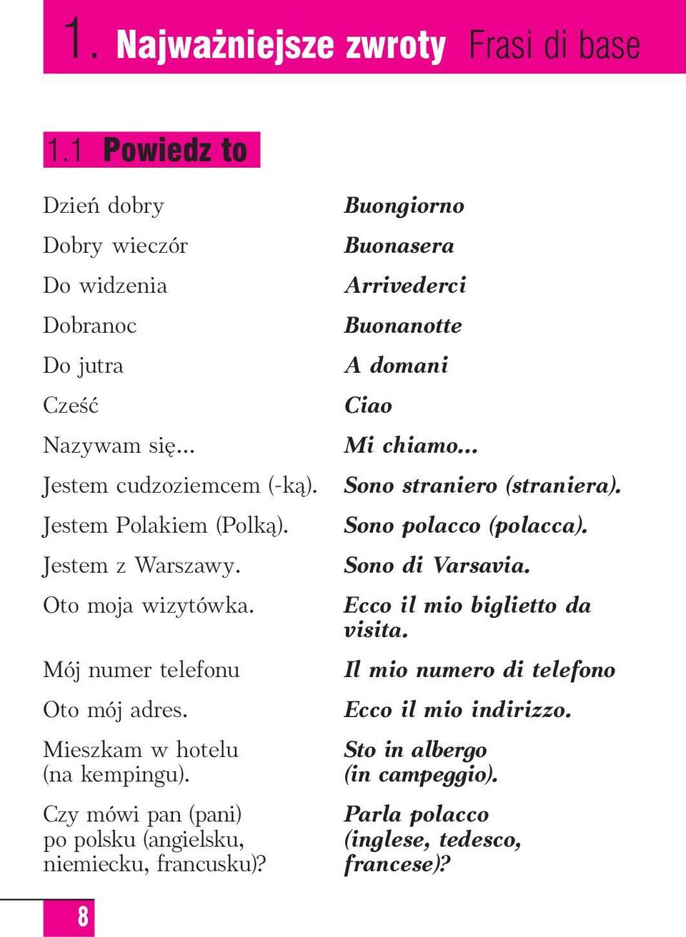 Czy mówi pan (pani) po polsku (angielsku, niemiecku, francusku)? Buongiorno Buonasera Arrivederci Buonanotte A domani Ciao Mi chiamo... Sono straniero (straniera).