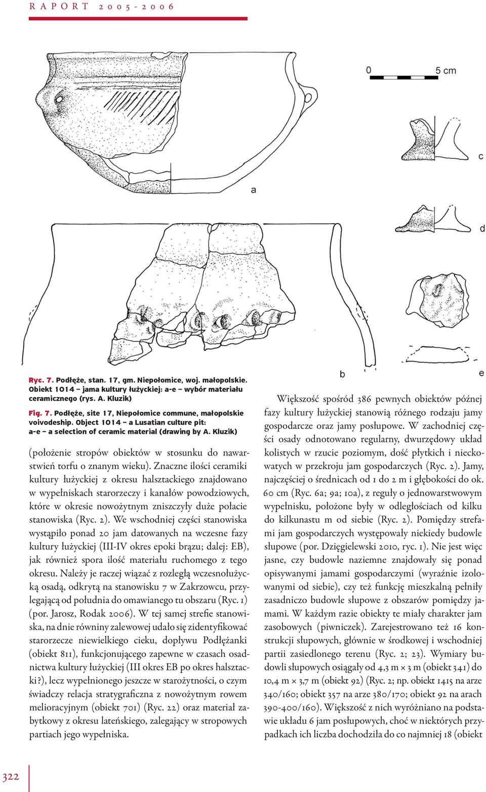 Znaczne ilości ceramiki kultury łużyckiej z okresu halsztackiego znajdowano w wypełniskach starorzeczy i kanałów powodziowych, które w okresie nowożytnym zniszczyły duże połacie stanowiska (Ryc. 2).