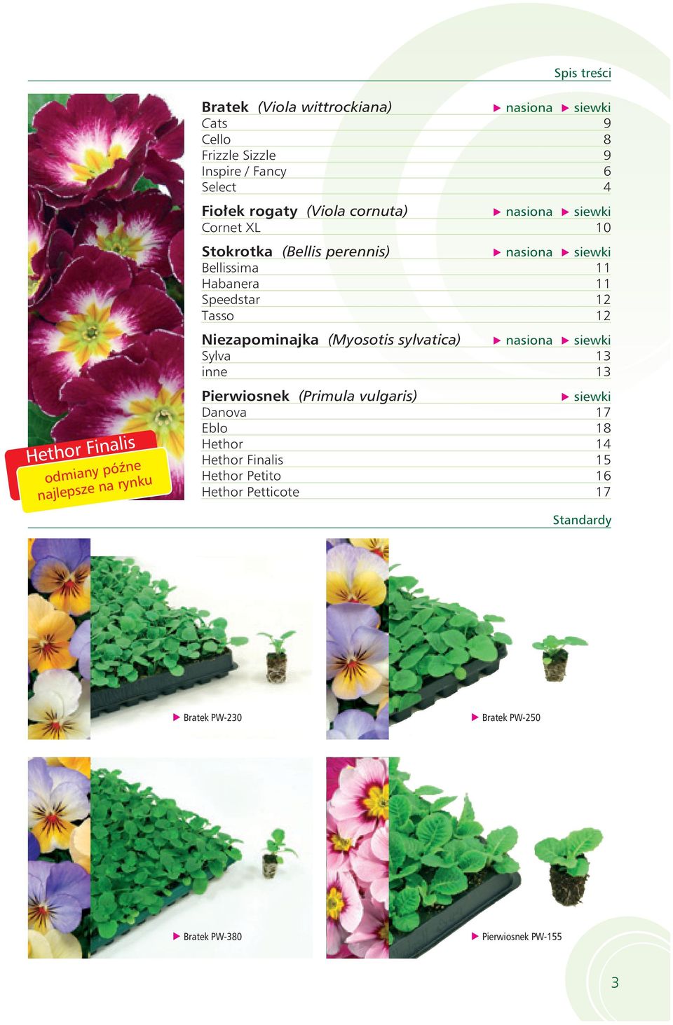 (Myosotis sylvatica) nasiona siewki Sylva 13 inne 13 Hethor Finalis odmiany późne najlepsze na rynku Pierwiosnek (Primula vulgaris) siewki