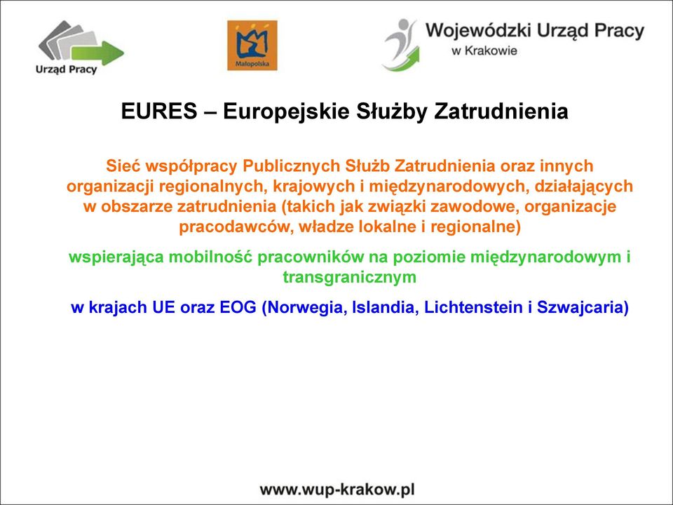 związki zawodowe, organizacje pracodawców, władze lokalne i regionalne) wspierająca mobilność pracowników