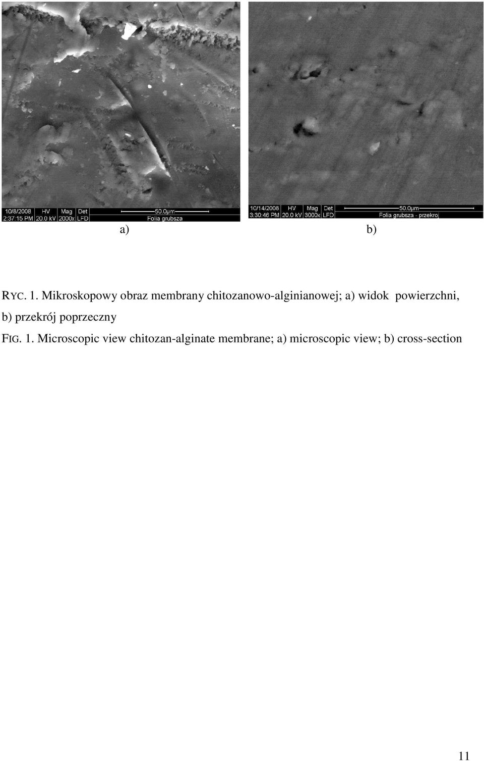 chitozanowo-alginianowej; a) widok powierzchni, b)