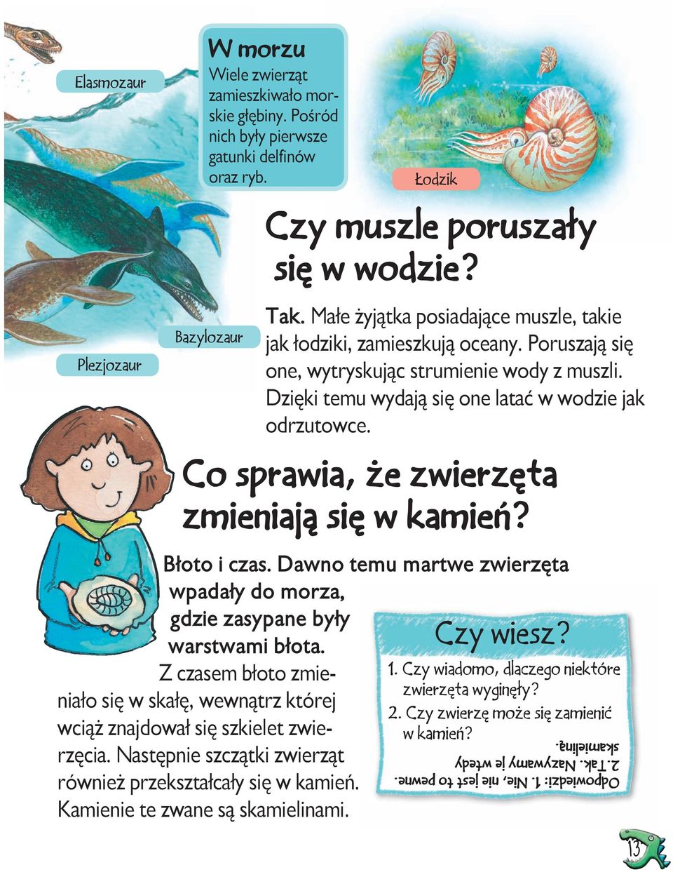 Co sprawia, że zwierzęta zmieniają się w kamień? Błoto i czas. Dawno temu martwe zwierzęta wpadały do morza, gdzie zasypane były warstwami błota.