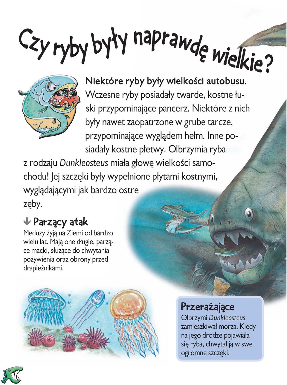 Olbrzymia ryba z rodzaju Dunkleosteus miała głowę wielkości samochodu! Jej szczęki były wypełnione płytami kostnymi, wyglądającymi jak bardzo ostre zęby.