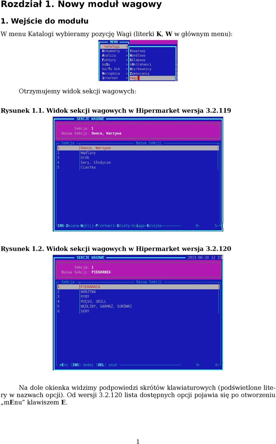 sekcji wagowych: Rysunek 1.1. Widok sekcji wagowych w Hipermarket wersja 3.2.